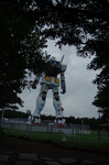 K20D0995.jpg